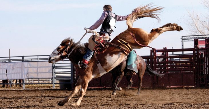 10 Rodeos Every Fan Must See