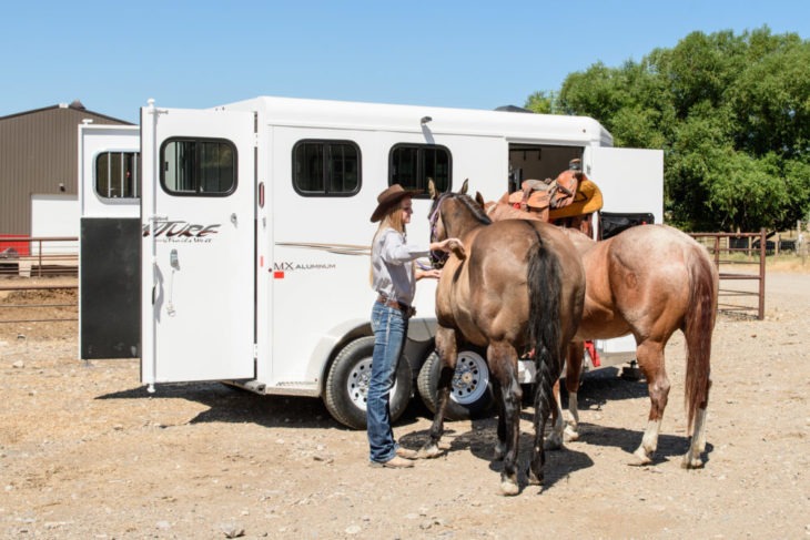 Top Factors to Consider When Buying a Horse / Cattle Trailer