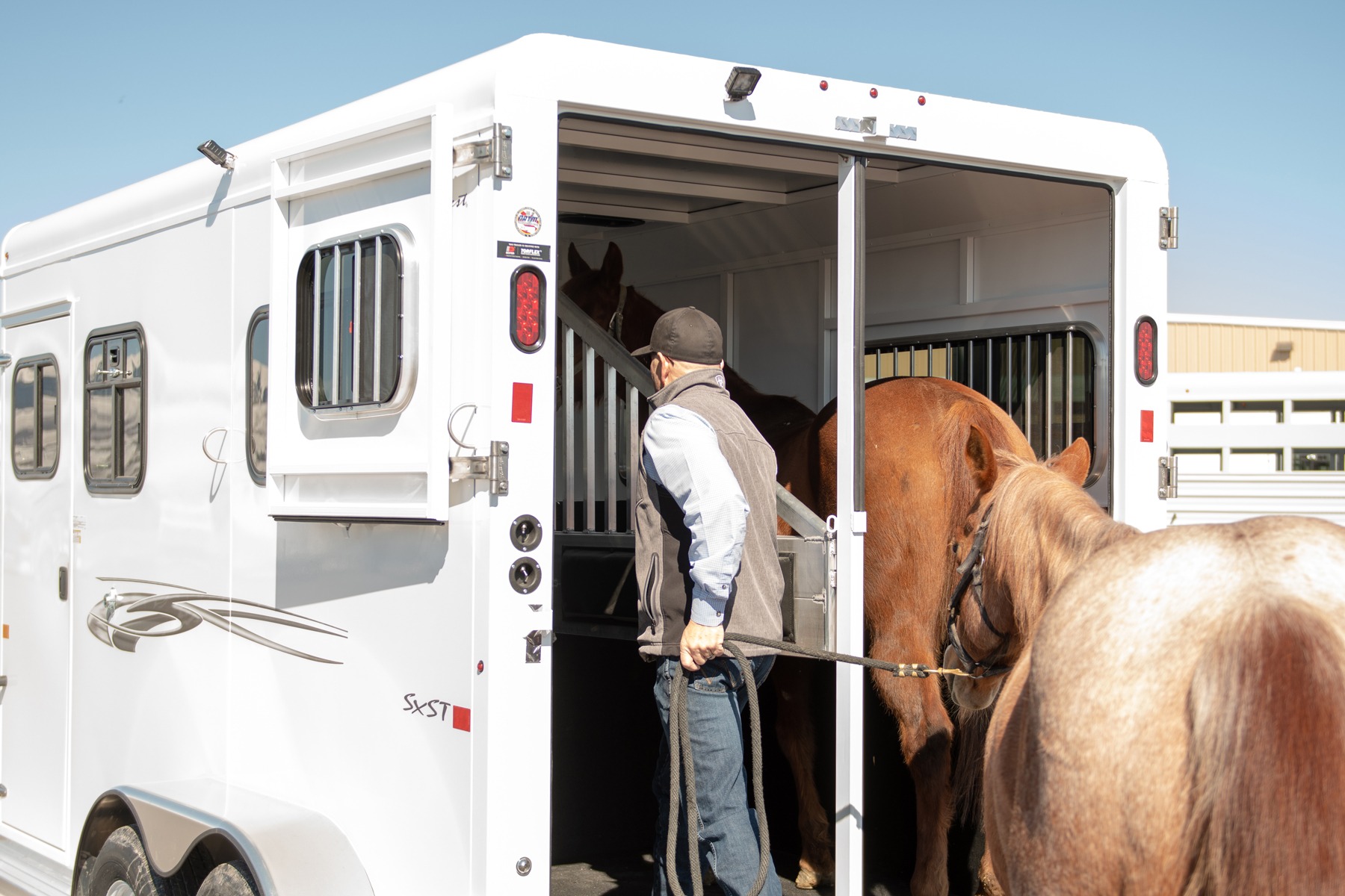 Can’t Show? Master the Skills of Loading Your Horse in Its Trailer